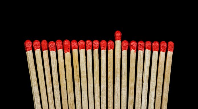 Genijalan trik sa šibicama može spasiti sobne biljke koje venu