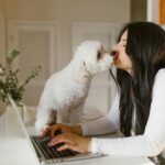 Zašto pas liže vlasnika i šta taj gest zaista znači