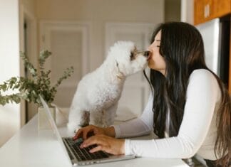 Zašto pas liže vlasnika i šta taj gest zaista znači