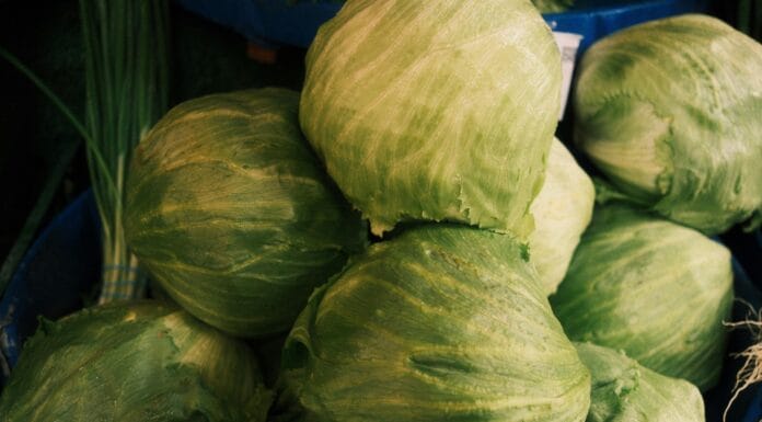 Evo zašto su naše bake i djedovi zimi svakog dana jeli kiseli kupus