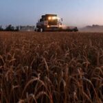 Svjetske cijene prehrambenih proizvoda pale u novembru