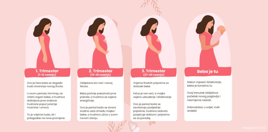 Trudnoća po sedmicama