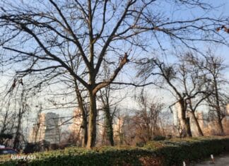 Vremenska prognoza: Nakon prohladnog jutra očekuje nas sunčan dan