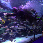 Antalija; Svako godišnje doba u Antaliji je zabavno: Roller coasteri, aqua parkovi i doživljaji za cijelu porodicu