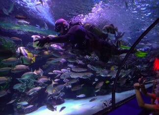 Antalija; Svako godišnje doba u Antaliji je zabavno: Roller coasteri, aqua parkovi i doživljaji za cijelu porodicu