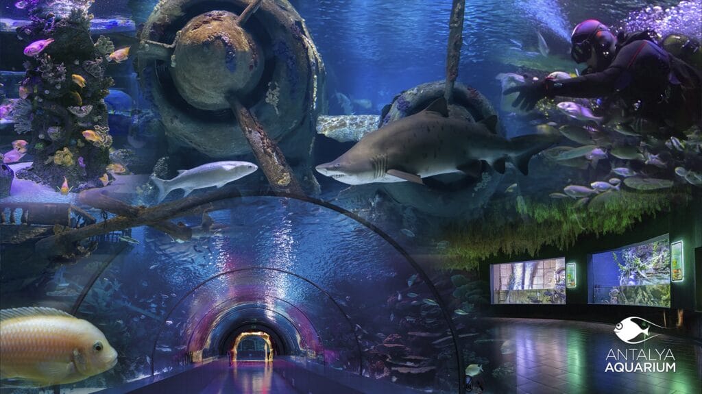 Svako godišnje doba u Antaliji je zabavno: Roller coasteri, aqua parkovi i doživljaji za cijelu porodicu