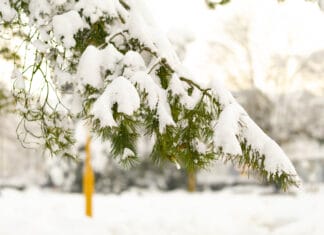 Hladno i oblačno u Tuzli, aktivno žuto upozorenje Snijeg, zima, hladno
