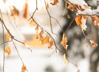 Snijeg, zima, hladno, vjetar