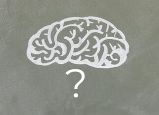 Znakovi visoke inteligencije, osobine koje se prepoznaju u svakodnevnom životu Znakovi visoke inteligencije, osobine koje se prepoznaju u svakodnevnom životu