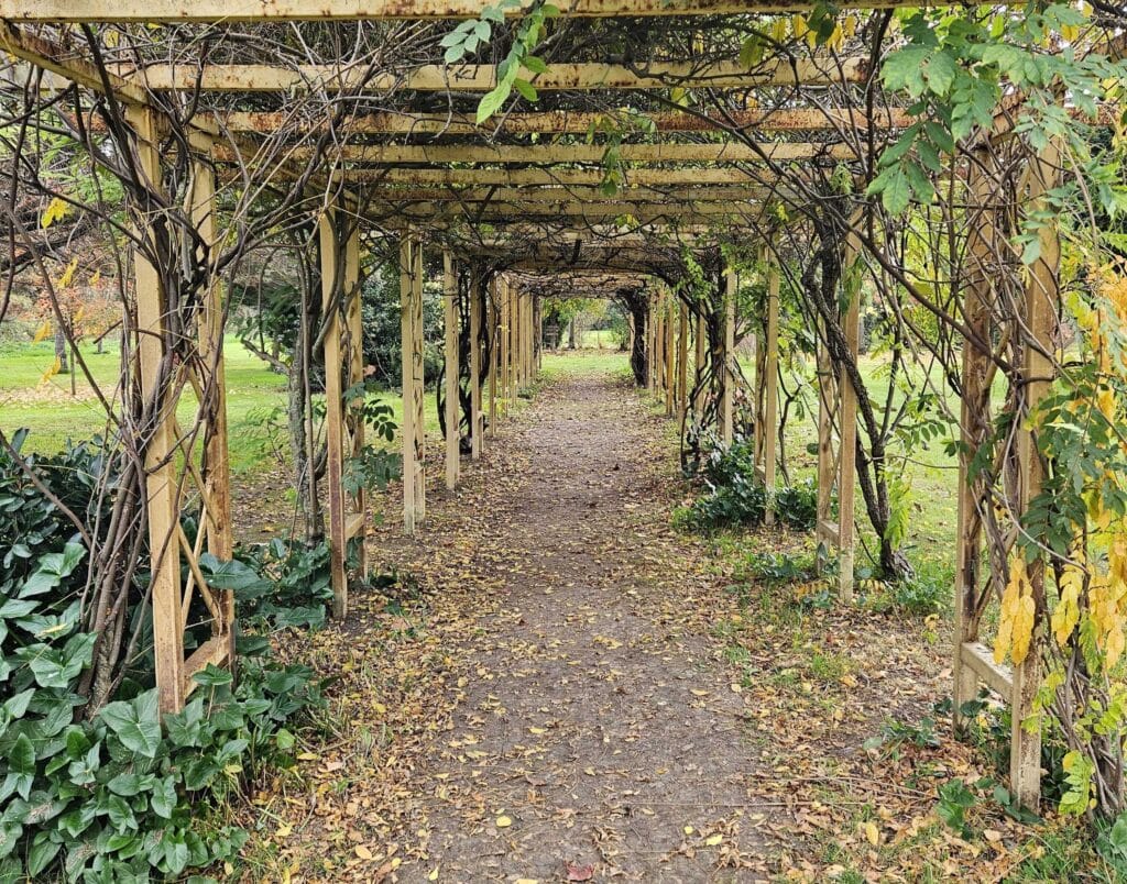 Drvena pergola i staza u Karaca Arboretum u Yalovi