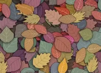 Trening za mozak: Koliko vam je potrebno da pronađete žabu skrivenu među lišćem?