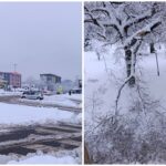 Ne rade semafori kod BKC-a, kod TV Slon odlomljene grane sa drveća