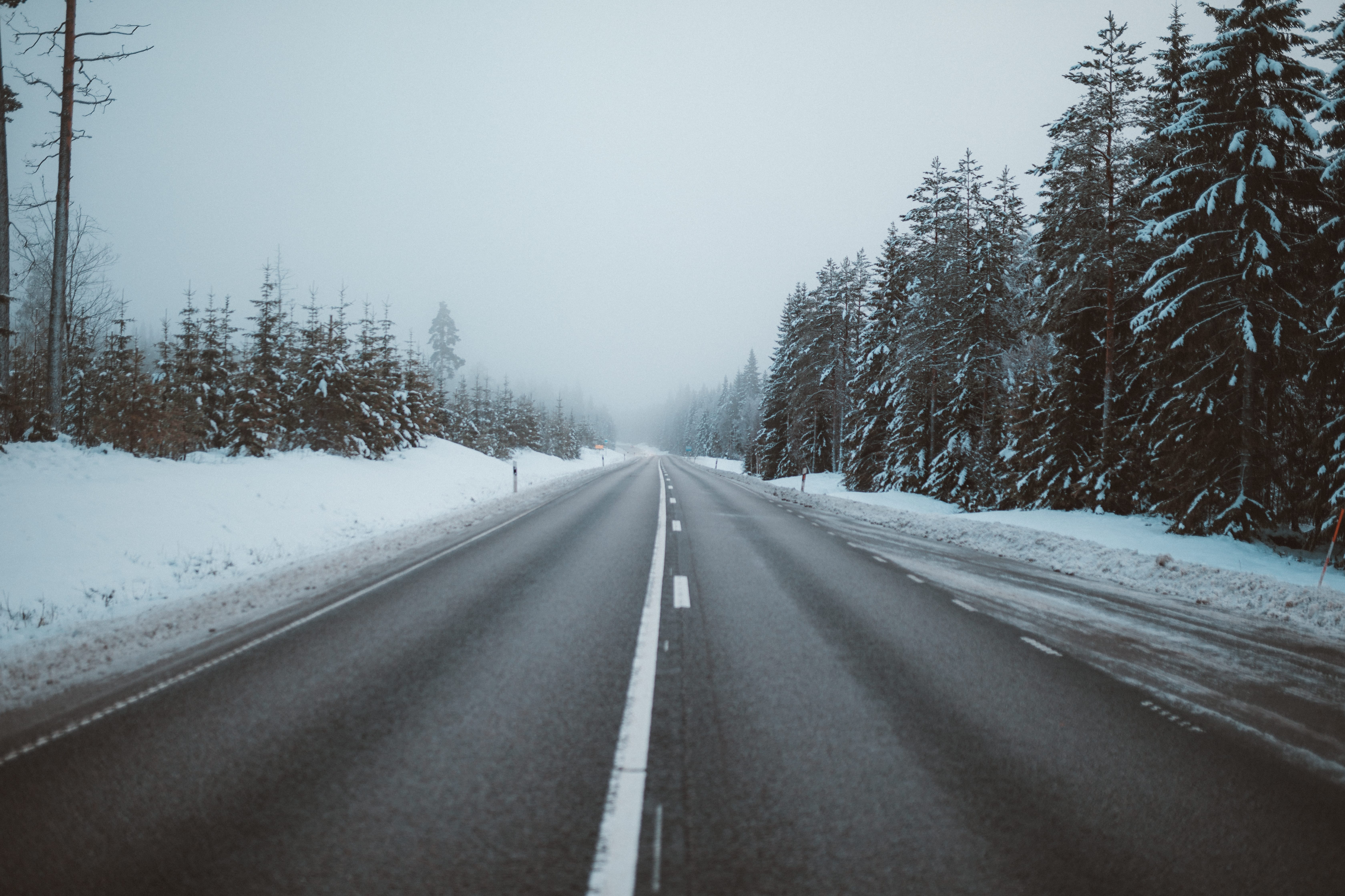 Magnificent view of a road surrounded by trees on snow covered fields captured in Sweden