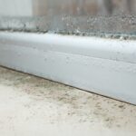 Zašto se prozori zimi znoje i kako spriječiti vlagu prije nego što postane ozbiljan problem? Zašto se prozori zimi znoje i kako spriječiti vlagu prije nego što postane ozbiljan problem