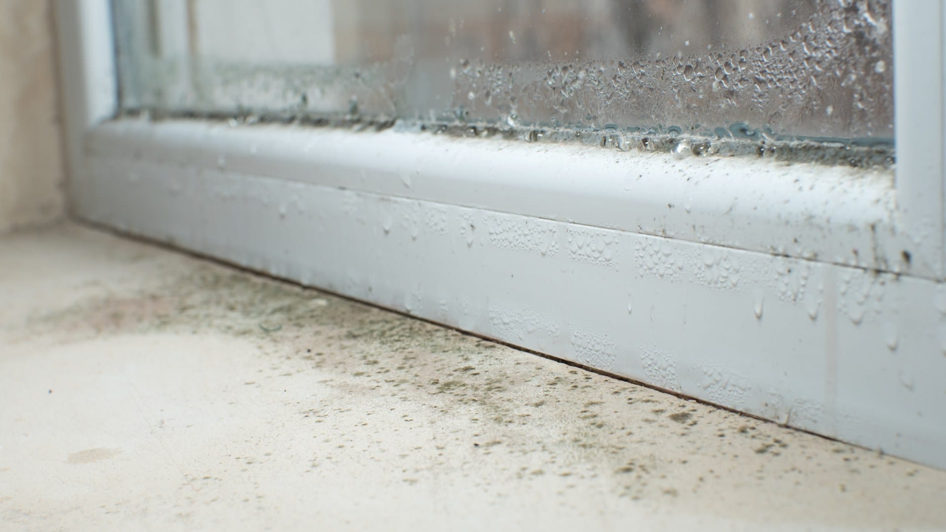 prozori Zašto se prozori zimi znoje i kako spriječiti vlagu prije nego što postane ozbiljan problem