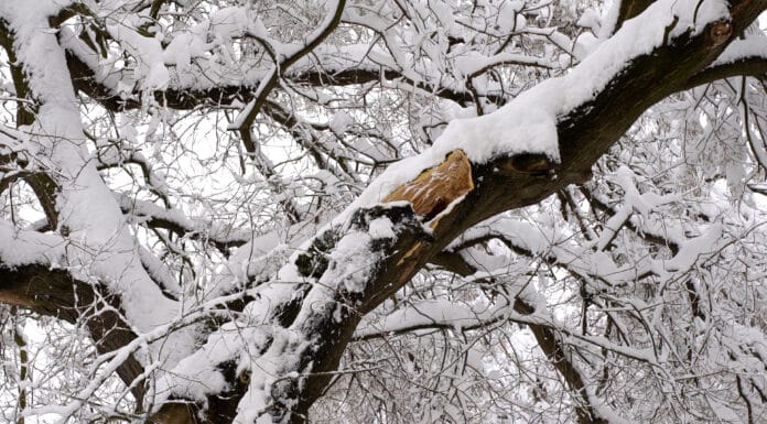 Snijeg, tuzla, hladnoća, zima