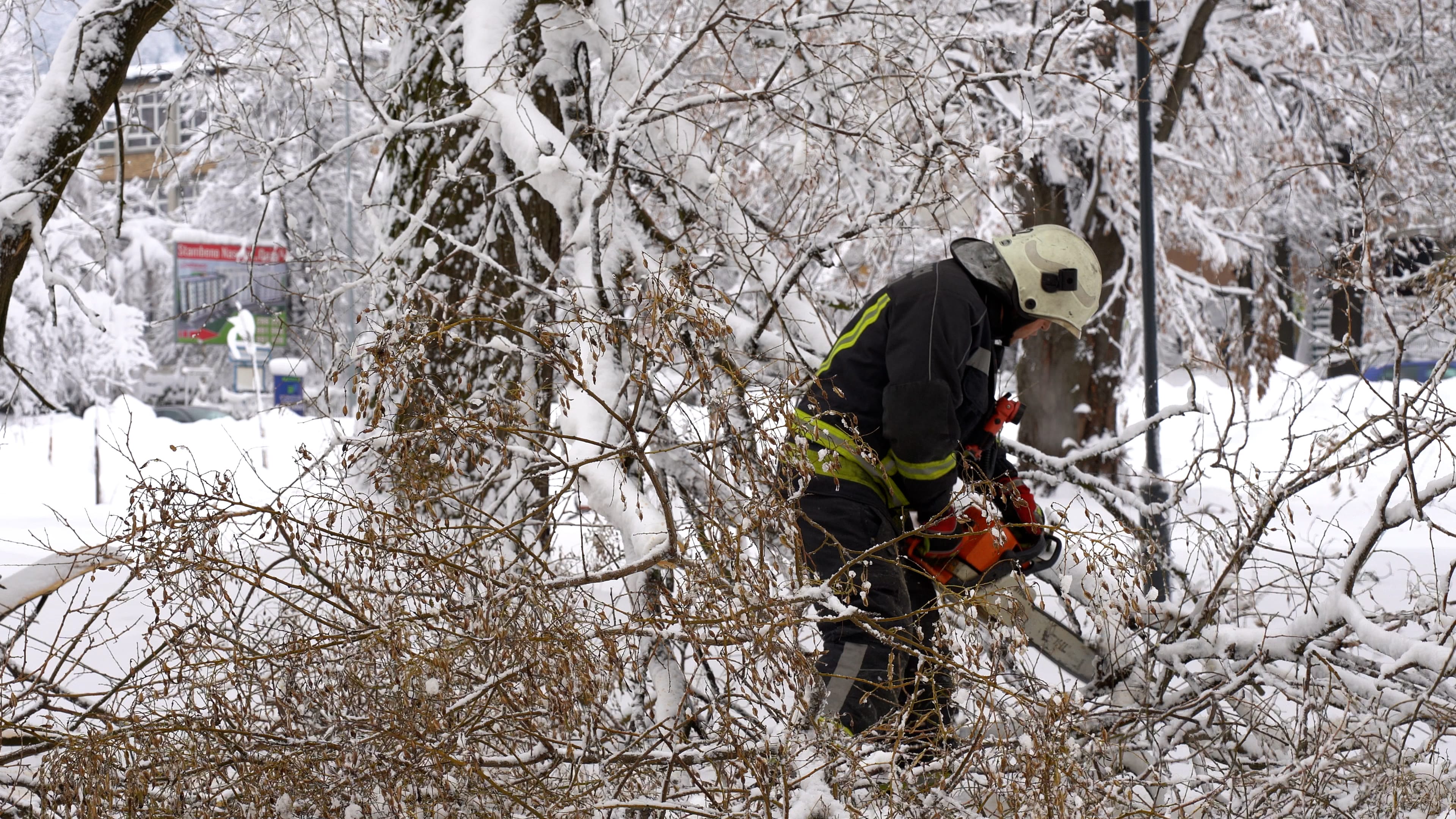 Vatrogasci uklanjaju drveće