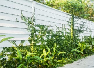 Panelne ograde kao sve češći izbor za uređenje i zaštitu prostora Panelne ograde