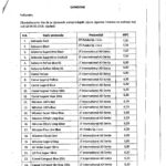 Nelt 2026-1