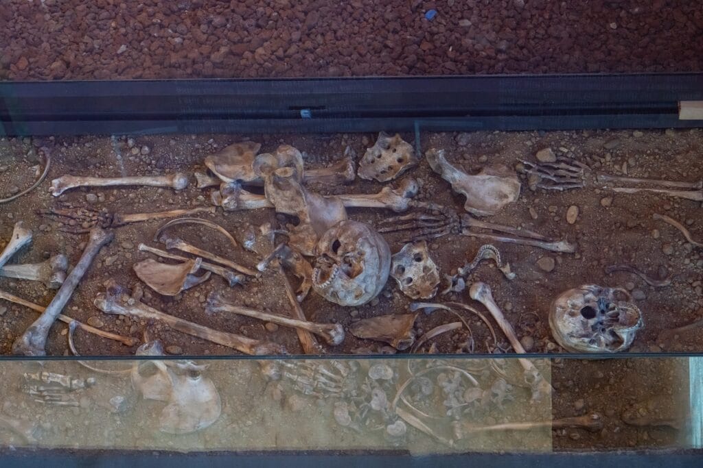 Otkrijte raskoš istanbulske baštine u Muzeju mozaika Zeytinburnu