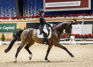 Sezona koja je Emu Eminu Nefić odvela na Evropsko prvenstvo