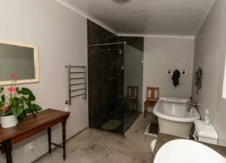 Kupatilo sa samostojećom kadom, staklenim tušem i drvenim stolom sa biljkom