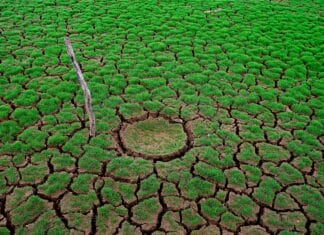 Peti najtopliji januar u historiji mjerenja zabilježen je globalno uprkos hladnim talasima u SAD i Evropi, saopćio je klimatski monitoring Evropske unije, uz podatak da je prosječna temperatura bila 1,47 stepeni iznad predindustrijskog nivoa, dok su dijelovi Evrope imali najhladniji januar od 2010. godine, a SAD bile pogođene snažnim zimskim olujama.