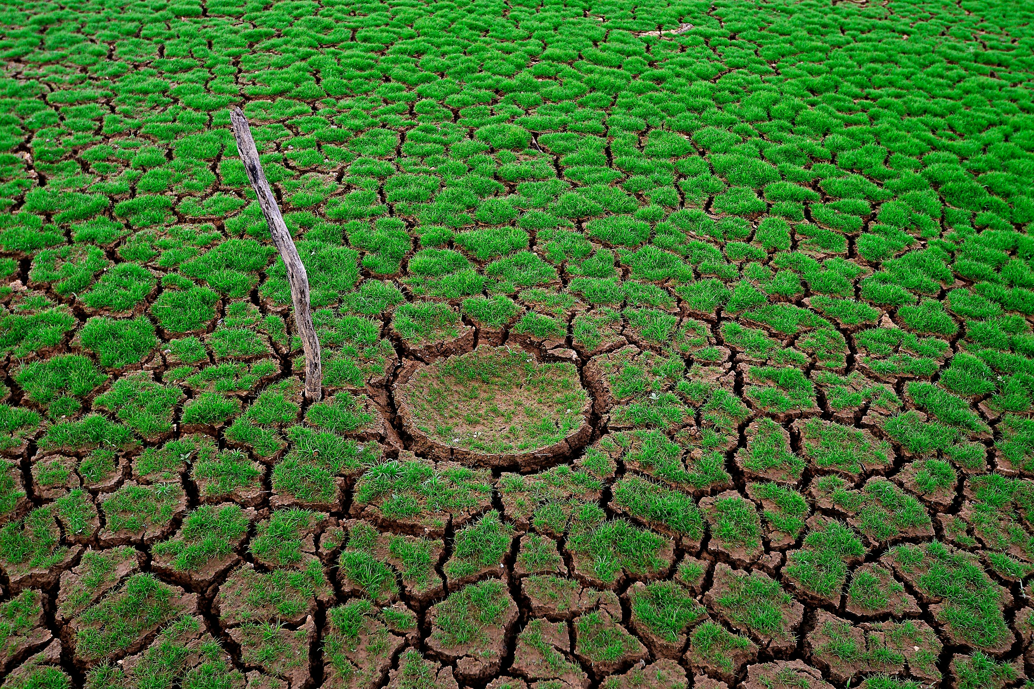 najtopliji januar zemlja susa Peti najtopliji januar u historiji mjerenja zabilježen je globalno uprkos hladnim talasima u SAD i Evropi, saopćio je klimatski monitoring Evropske unije, uz podatak da je prosječna temperatura bila 1,47 stepeni iznad predindustrijskog nivoa, dok su dijelovi Evrope imali najhladniji januar od 2010. godine, a SAD bile pogođene snažnim zimskim olujama.