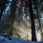 vremenska prognoza suncano vrijeme zimi