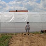 Širom BiH 248 domaćinstava ulazi u projekte plasteničke proizvodnje i stočarstva