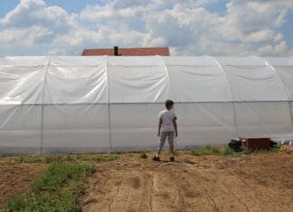 Širom BiH 248 domaćinstava ulazi u projekte plasteničke proizvodnje i stočarstva