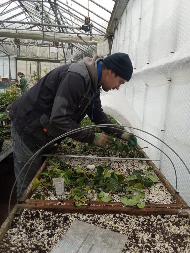 UK podržava jačanje kulturnih institucija i pristupa prirodnoj i kulturnoj baštini BiH