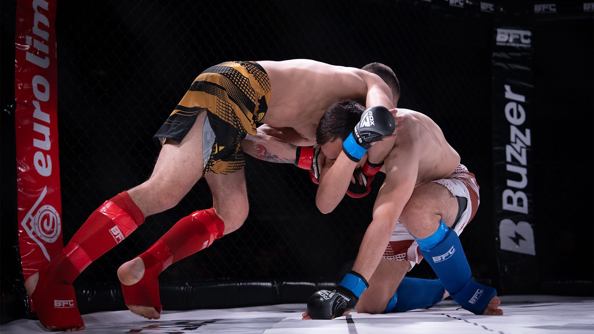 BFC 4, MMA BFC 4, MMA