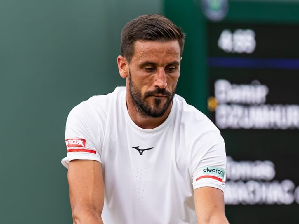 damir-dzumhur