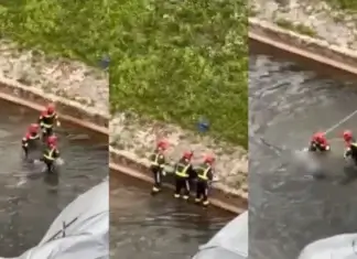 Izvučeno tijelo ženske osobe iz Miljacke Grbavica, tijelo ženske osobe