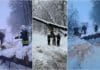 Velika količina snijega stvara probleme u Tuzli, vatrogasci uklanjaju oborena stabla