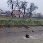 Mladić iz Bratunca spasio srnu iz nabujale Križevice
