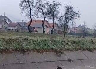 Mladić iz Bratunca spasio srnu iz nabujale Križevice