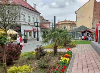 Proljetno uređenje Tuzle ovih dana odvija se pojačanim intenzitetom