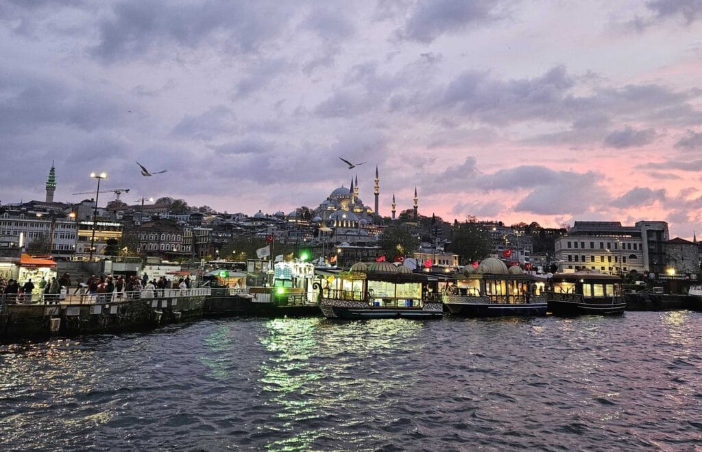 Cijene atrakcija u Istanbulu; Pogled na Sulejmanija džamiju, galebove i obalu Istanbula u akšam