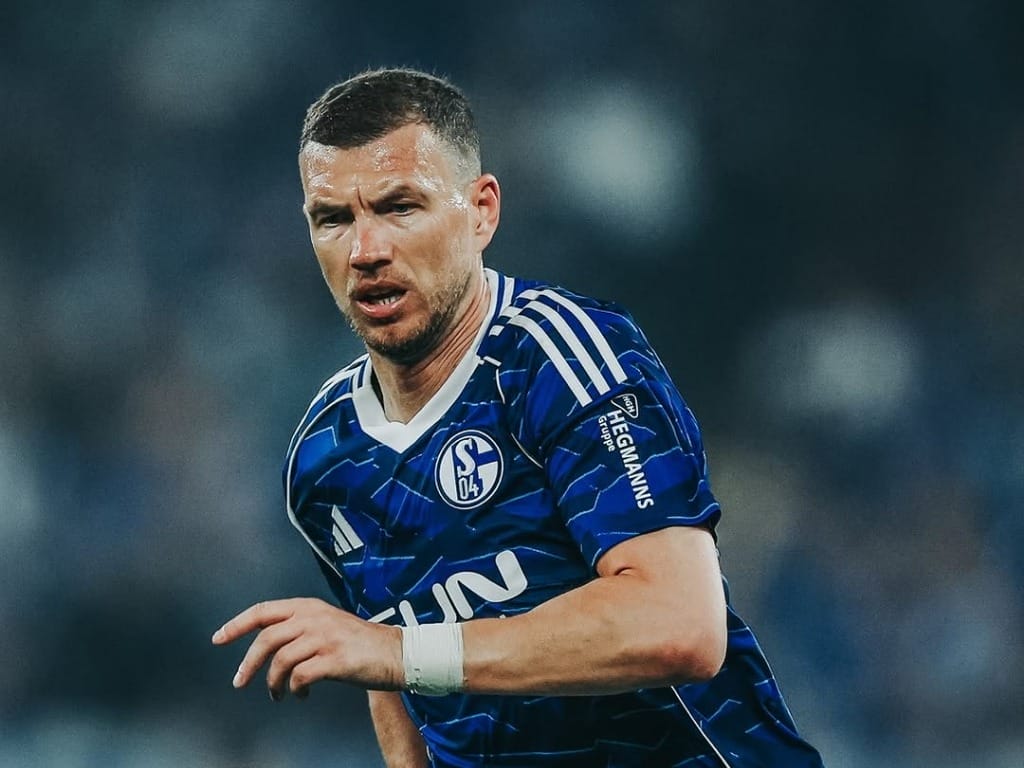 edin-dzeko-schalke-bih