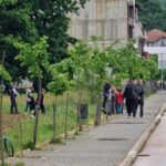 Eko akcija u Kalesiji okupila mlade: Učenici i volonteri čistili Kalesiju i sadili nova stabla