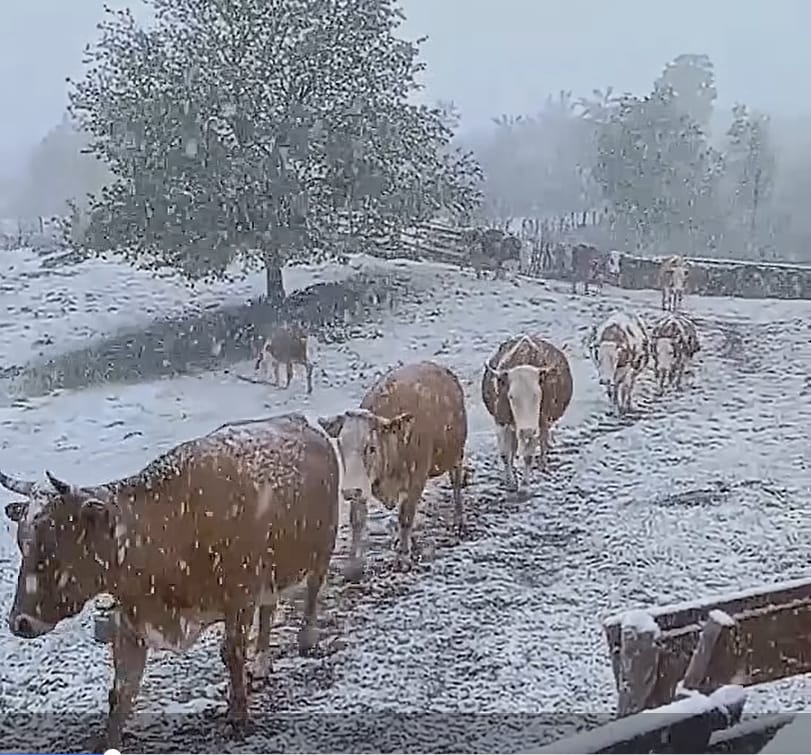 snijeg nevrijeme