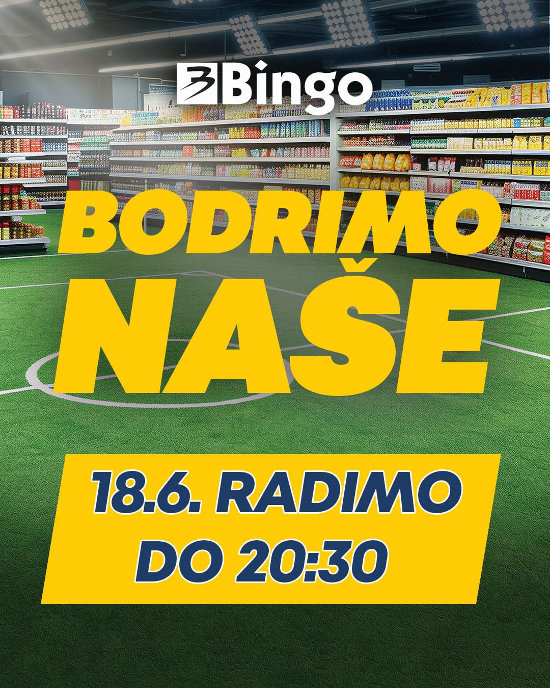 Kad igra BiH, Bingo radi skraćeno