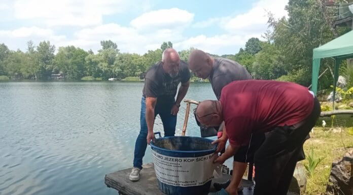 Poribljeno jezero Kop Šićki Brod u okviru projekta očuvanja izletišta