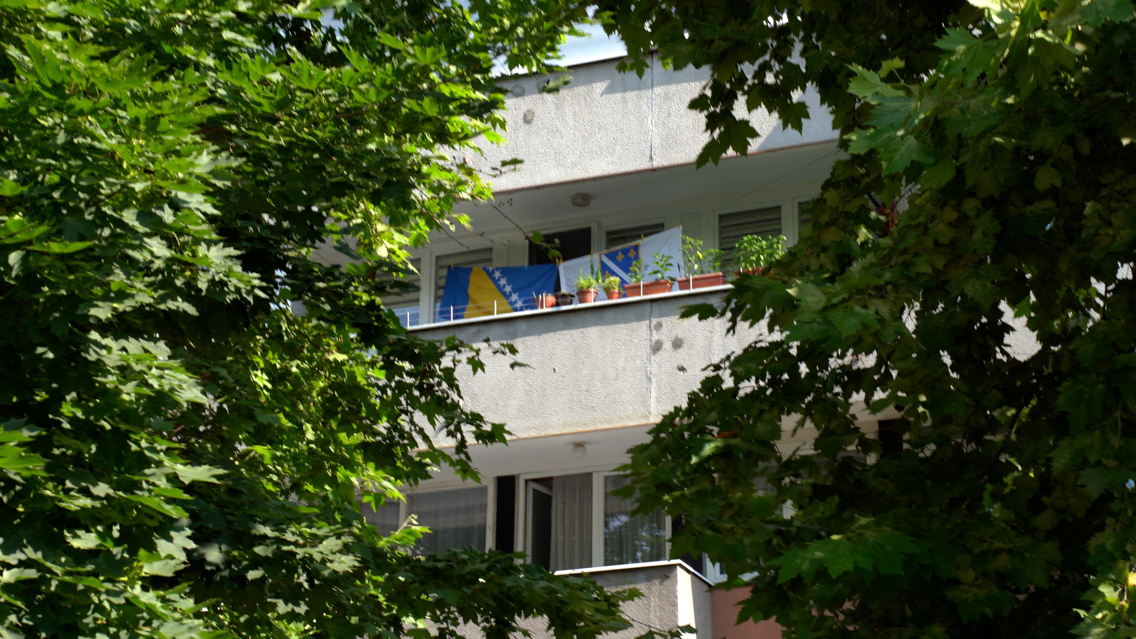 Građani Tuzle očekuju pobjedu Zmajeva protiv Katara