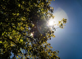 Sutra u BiH sunčano i toplo, temperature do 29 stepeni Vremenska prognoza: Od utorka vruće i sparno, mogući lokalni pljuskovi