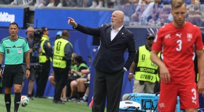sergej barbarez, selektor fudbalske reprezentacije bih