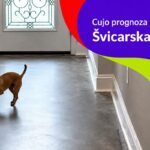 Neobična prognoza pred meč BiH i Švicarske: Pas Cujo izabrao Zmajeve