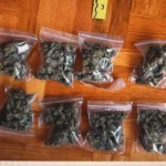U Živinicama uhapšen muškarac, policija pronašla 12 pakovanja biljne materije